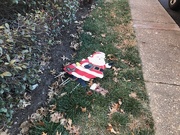 17th Jan 2025 - Santa down!