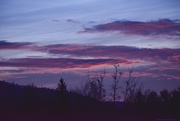 15th Jan 2025 - "When Morning Gilds the Skies..."