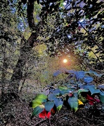 16th Jan 2025 - Shadows and light