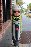 17th Jan 2025 - The Postie