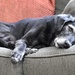 It's Been a Long Week  by alophoto