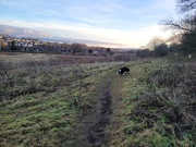 15th Jan 2025 - Fresh Air