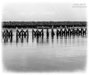 17th Jan 2025 - Lines,Angles And Reflections