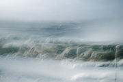 16th Jan 2025 - Frost wind-2