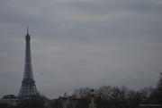 12th Jan 2025 - grey day