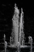 18th Jan 2025 - Dancing water