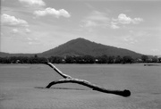 18th Jan 2025 - Old branch 