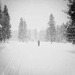 Storm Skiing by jenorton
