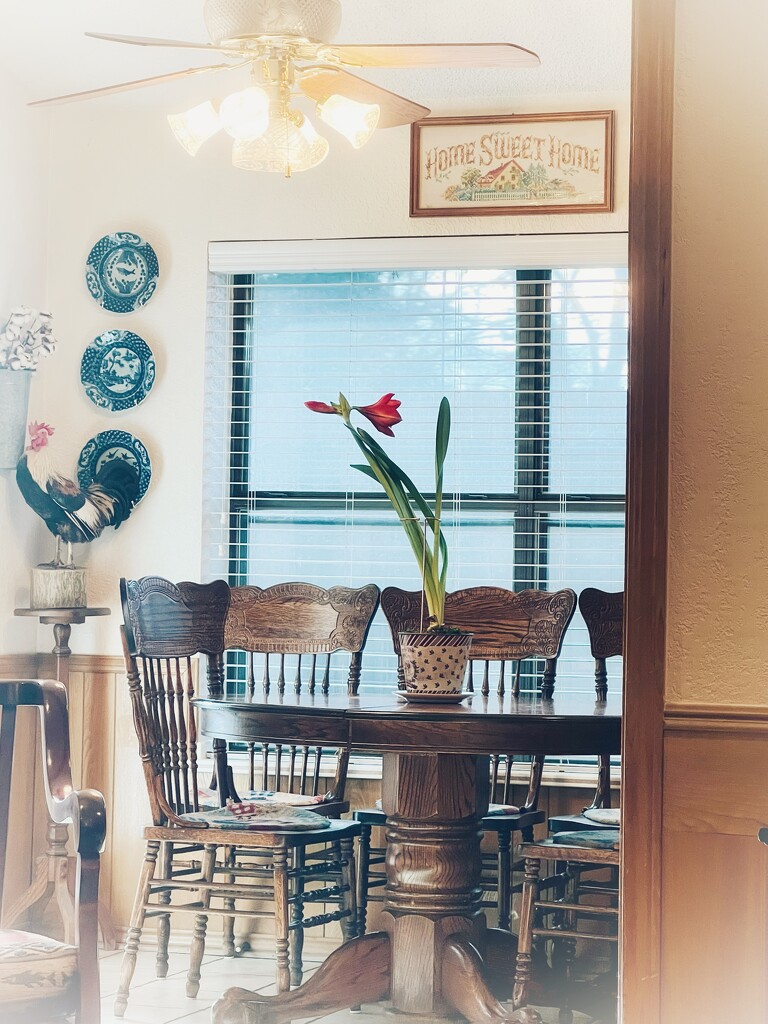 The second bloom  by louannwarren