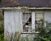 17th Jan 2025 - "You could've saved this house, Sully"
