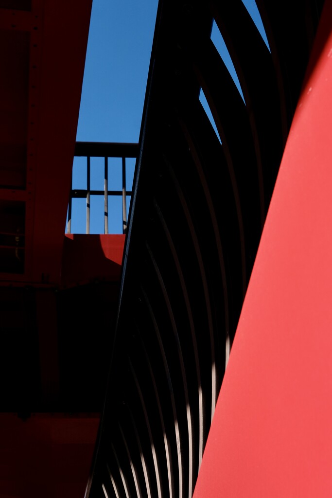 Red Harmony by vincent24
