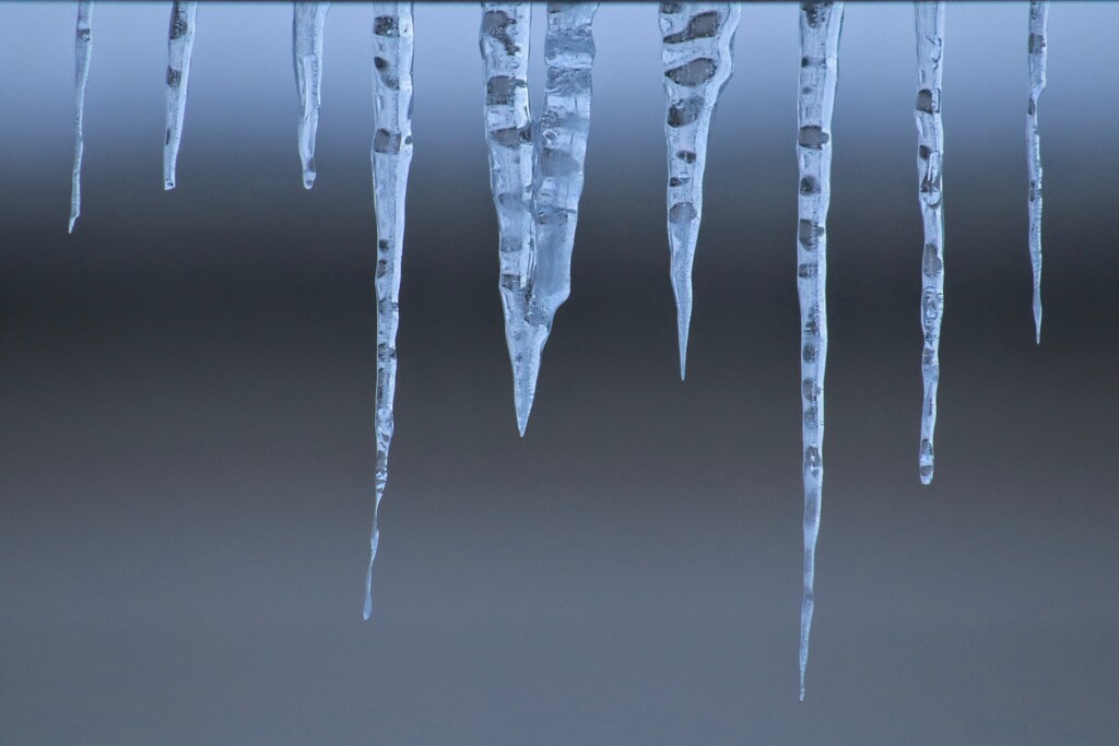 Icicle View  by princessicajessica