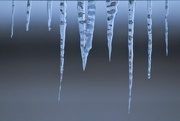 5th Jan 2025 - Icicle View 