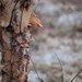 Nature's Way by 365projectorgheatherb