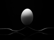 18th Jan 2025 - back to the egg