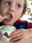 18th Jan 2025 - Minty
