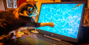 18th Jan 2025 - Lia's favourite computer game