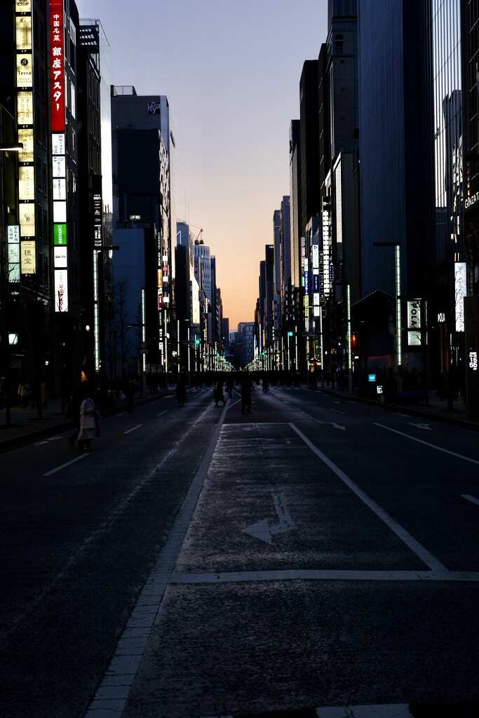 Ginza Twilight - half half  by vincent24