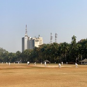 18th Jan 2025 - Oval
