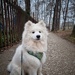 A short morning walk by duska
