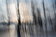 18th Jan 2025 - Winter Sun