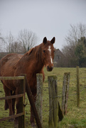 16th Jan 2025 - Diego