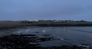 14th Jan 2025 - Murky Evening