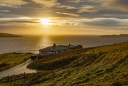 16th Jan 2025 - Southness