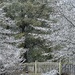 Snow Day by calm