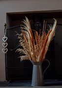 19th Jan 2025 - Hearth Grasses