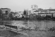 14th Jan 2025 - Limmat