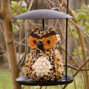 18th Jan 2025 - A Christmas gift for the birds