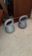 20th Jan 2025 - A Weighty Subject 