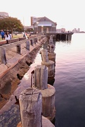 20th Jan 2025 - Old Piers