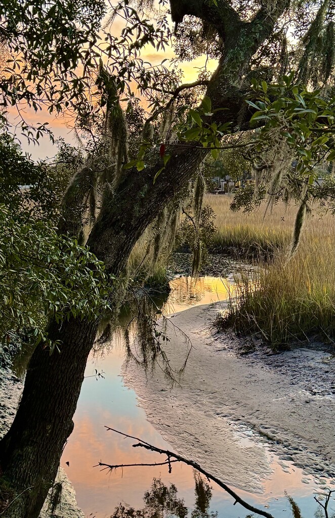 Tidal creek at sunset by congaree