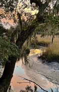 20th Jan 2025 - Tidal creek at sunset