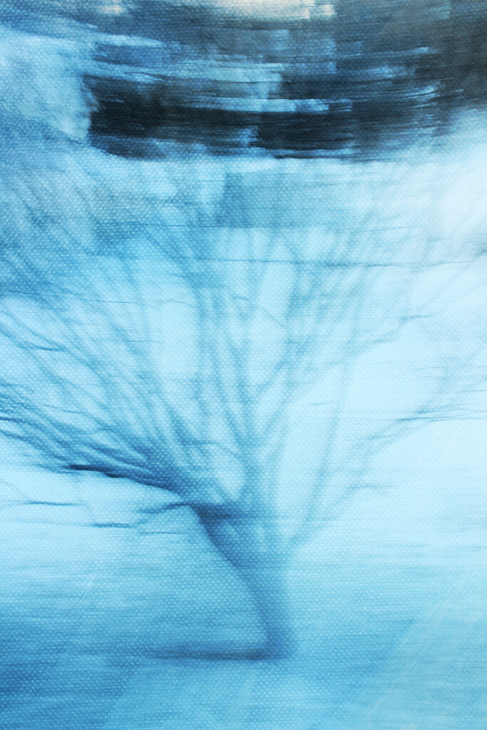 Shiver Me Timbers by juliedduncan