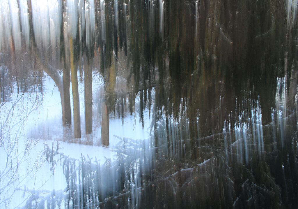 Walnut and Pine by juliedduncan
