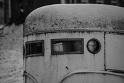 19th Jan 2025 - A sideway glance