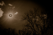 20th Jan 2025 - Midnight Sun