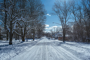 20th Jan 2025 - After the snow fall-2 copy