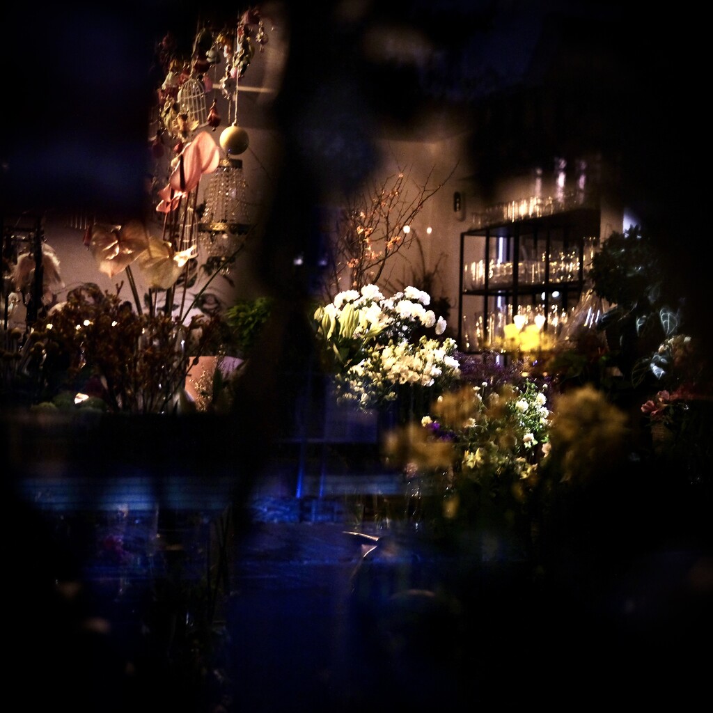 Secrets Behind the Glass by vincent24