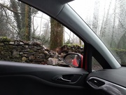 20th Jan 2025 - what trees do to walls in a wind