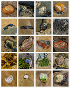16th Jan 2025 - Found on the Beach