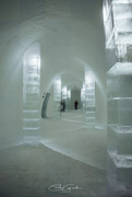 21st Jan 2025 - Inside the Ice Hotel