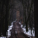 Path by przemekm