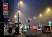 21st Jan 2025 - Misty morning 