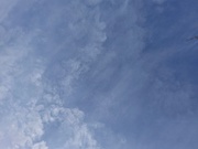 16th Jan 2025 - Blue Sky #16