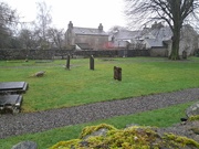 21st Jan 2025 - snowdrops