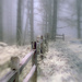Foggy IR  by joysabin